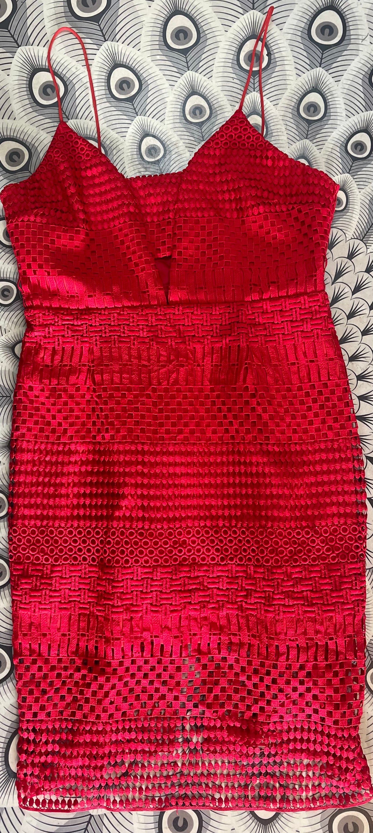 FOREVER NEW Dress Size 16