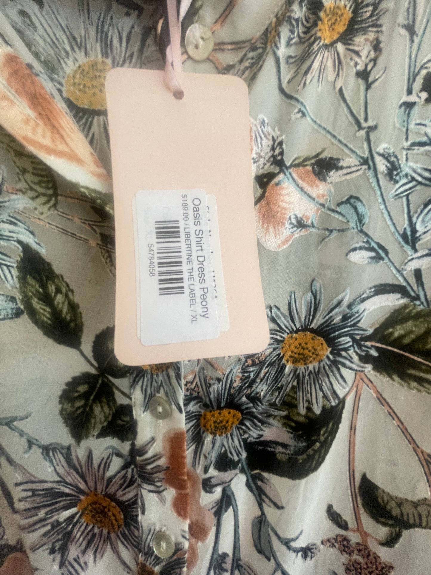 LIBERTINE Dress Size XL
